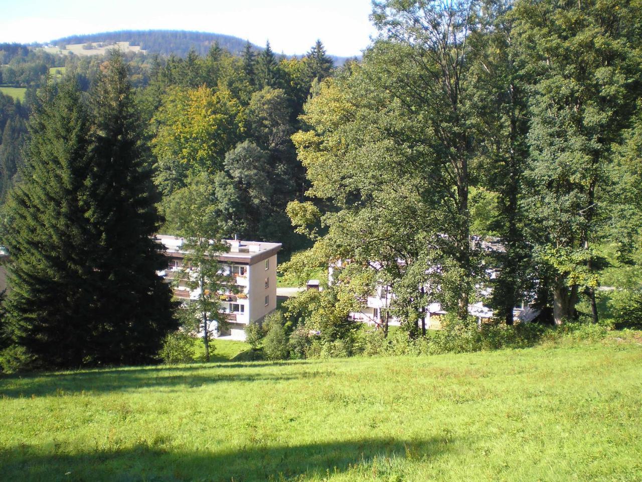 Horsky Apartman Krkonose Vitkovice Exterior photo